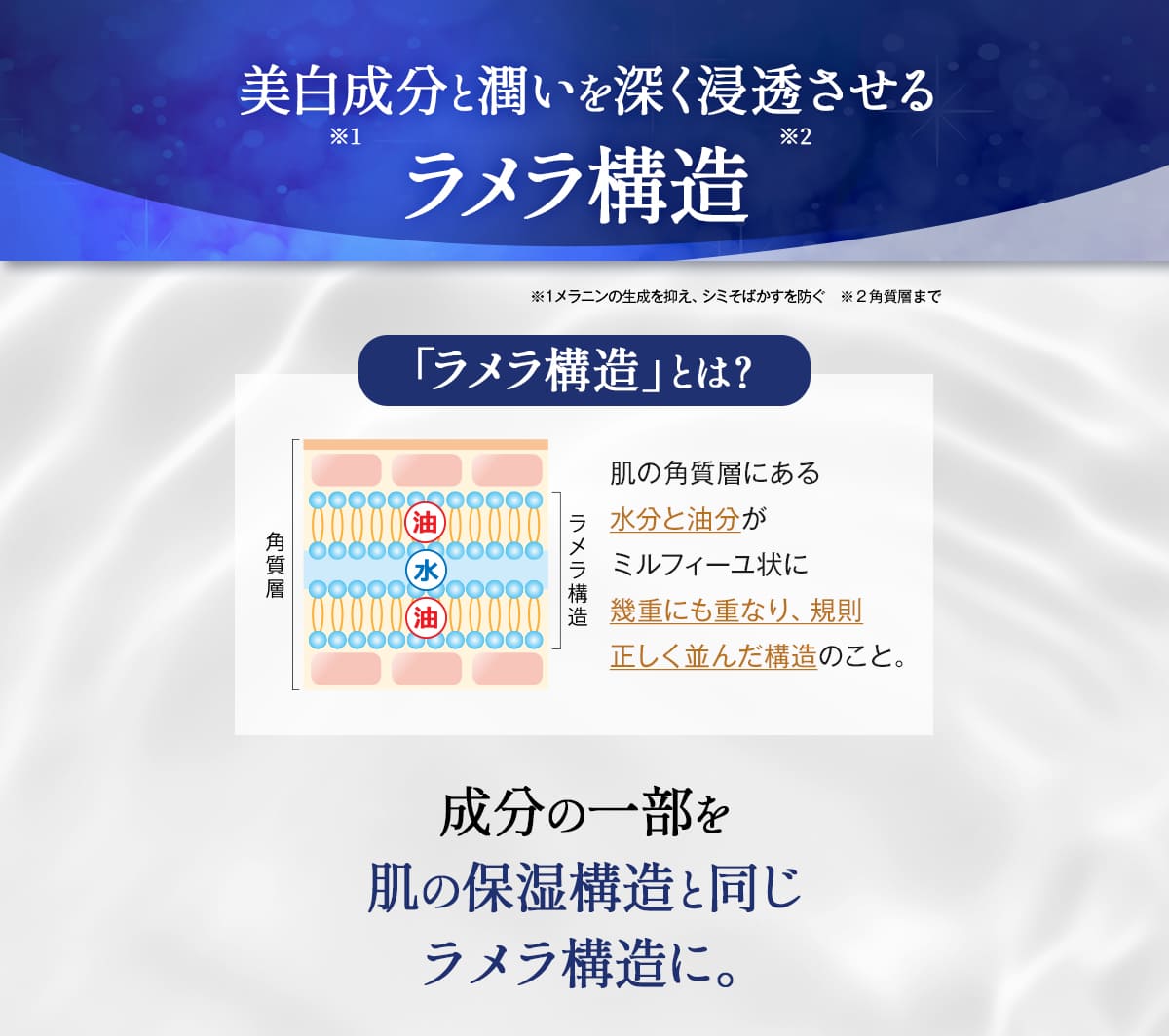 美白（※1）成分と潤いを深く浸透（※2）させるラメラ構造。
	※1　メラニンの生成を抑え、シミ・そばかすを防ぐ。
	※2　角質層まで。
	ラメラ構造とは？
	肌の角質層にある水分と油分がミルフィーユ状に幾重にも重なり、規則正しく並んだ構造のこと。
	成分の一部を肌の保湿構造と同じラメラ構造に。