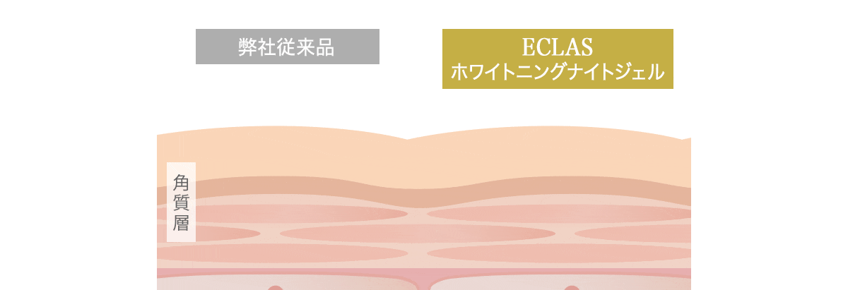 弊社従来商品が角質層の浅い部分までしか浸透しないのに対し、ECLAS（エクラス）ホワイトニングナイトジェルが角質層の奥まで浸透しているアニメーション。